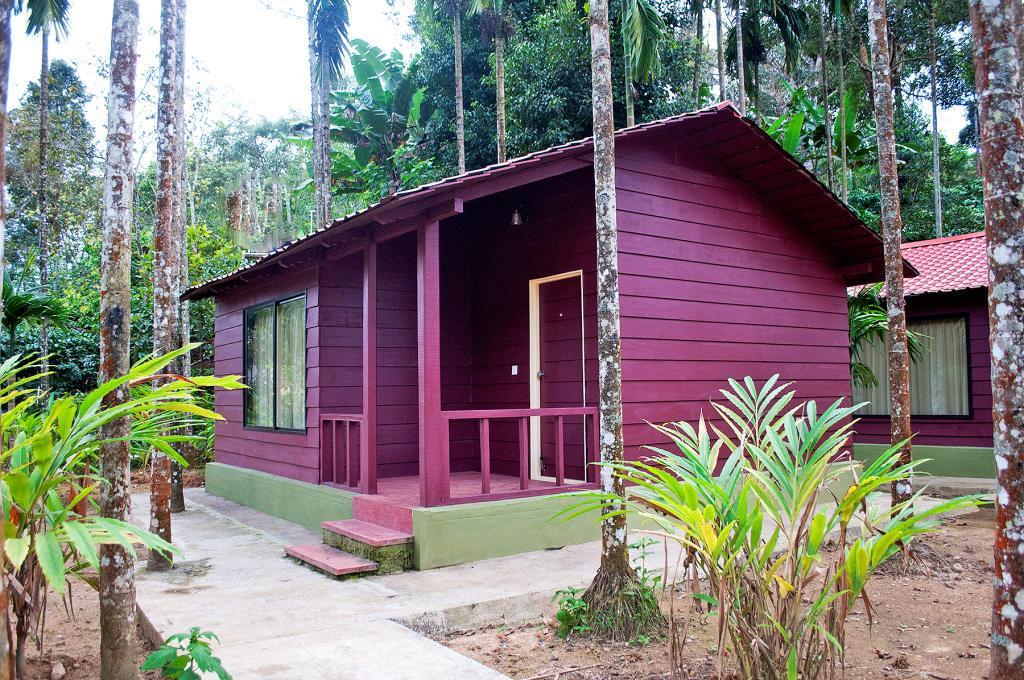 La Flora Prakruth Resort Coorg Madikeri Exterior foto